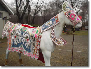 PEACOCK/ELEPHANT DECORATIONS